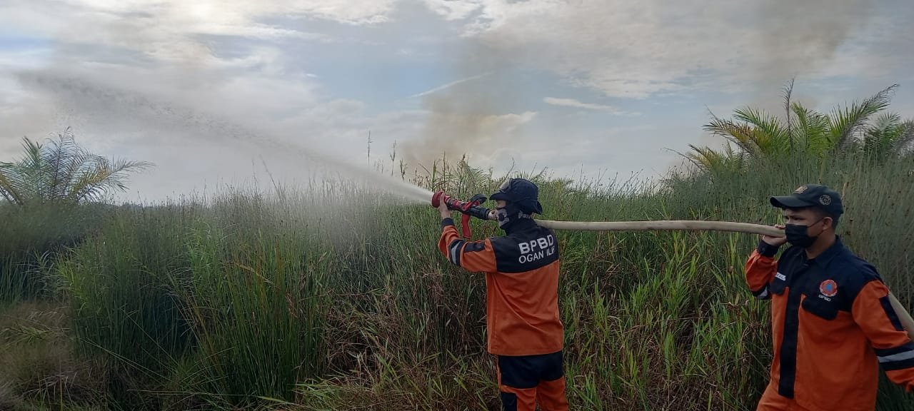 Petugas BPBD Ogan Ilir saat memadamkan kebakaran lahan gambut di wilayah Desa Parit, Kecamatan Indralaya Utara, Kabupaten Ogan Ilir, Senin (21/6/2021) petang