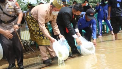 Gubernur Sumsel, Herman Deru melanjutkan agenda kerjanya dengan melakukan Penebaran  puluhan ribu benih  ikan jelawat dan ikan nilam di aliran Sungai Rawas Desa Lawang Agung Kecamatan Rupit Kabupaten Muratara, Selasa (29/6/2021). 