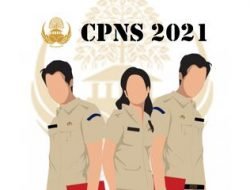 Hari Ini Pengumuman Pendaftaran CPNS dan PPPK, Berikut Tahapannya