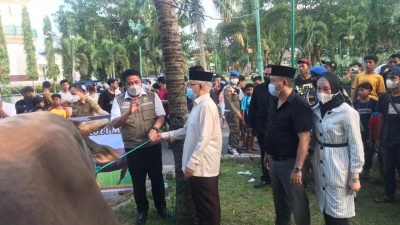 Yayasan Raden Muhammad Taufik Husni dan PT Bomba Group Kurban Sapi