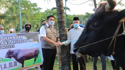 Gubernur Sumsel, Herman Deru di sela penyerahan sapi kurban, Senin (19/7/2021). 