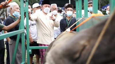 Gubernur Sumsel, Herman Deru saat memantau pemotongan hewan kurban dari masjid ke masjid di kota Palembang, Selasa (20/7/2021).