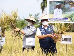 Herman Deru Optimis Sumsel Segera Capai Target, Sebagai Daerah Lumbung Pangan Nasional