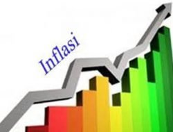 Harga Ikan Sarden Pengaruhi Inflasi di Sumsel