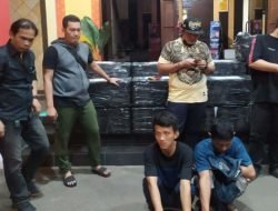 Penyelundupan Baby Lobster Rp13 Miliyar Digagalkan