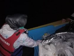 18 Box Bibit Lobster Senilai Rp15,343 Miliyar Dilepas