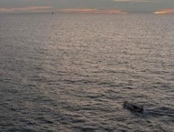 Kandungan Paracetamol Cemari Laut Jakarta
