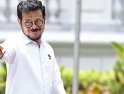 Stok Beras Aman, Tak Bakal Impor