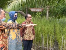 Kunjungi Kebun Raya Sriwijaya, Anita Harapkan Ini