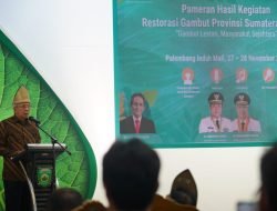 Mawardi Minta Restorasi Gambut Punyak Hasil Baik