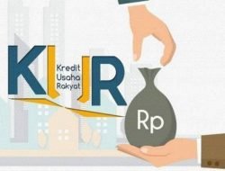 Per November 2021, Realisasi KUR UMKM Capai Rp262,95 triliun