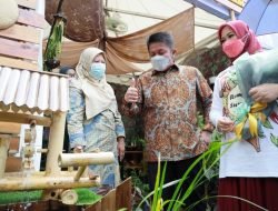 Rempah Sumsel Jadi Penyangga Ekonomi di Tengah Pandemi