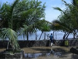 Catat! Ini 23 Wilayah RI Yang Berpotensi Banjir Rob