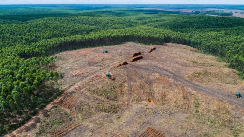 Dinas Kehutanan Sumsel menargetkan hingga 2024 sebanyak 254 ribu hektar diberikan izin perhutanan sosial bagi masyarakat