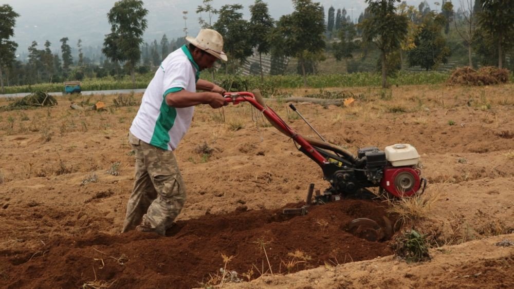 Ilustrasi aktivitas pertanian