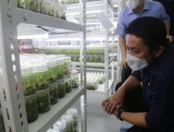 Kembangkan Bibit Unggul Mendukung Gerakan SMP