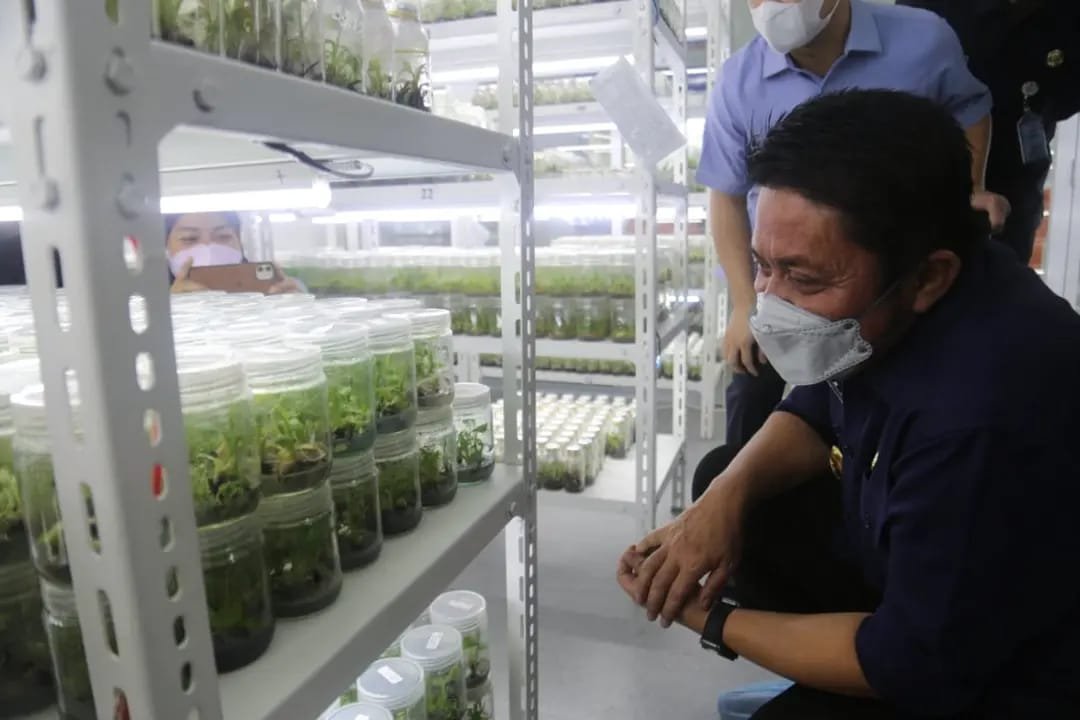 Herman Deru Tinjau Laboratorium Kultur Jaringan Tanaman, Holtikultura dan Tanaman Hias PT. GMZ Biomega Utama 