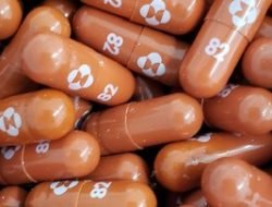 April 2022 RI Produksi Obat Covid-19 Molnupiravir