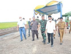 Pangdam Tinjau Lokasi Lahan Bekas Karhutla