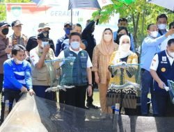 Dukung GSMP, Pelatihan Budidaya Tanaman dan Ikan Akan Digelar