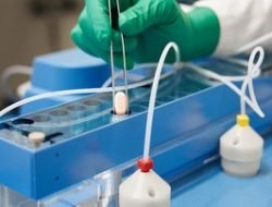 Penggunaan Obat Covid Paxlovid Pfizer Disetujui China