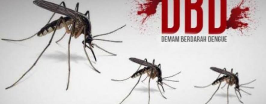 Ilustrasi DBD