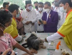 Hewan Penular Rabies di Palembang Akan Dipasang Microchip