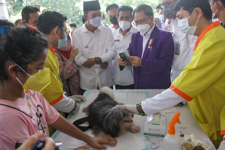 Walikota Palembang, Harnojoyo ketika meninjau proses pemasangan microchip pada hewan peliharaan.