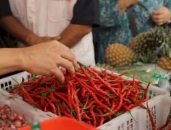 Harga Cabai Merah di Palembang Capai Rp45 Ribu Per Kg