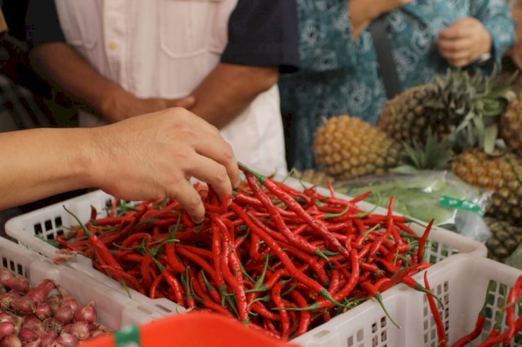 Cabai merah mulai merangkak naik di Palembang.