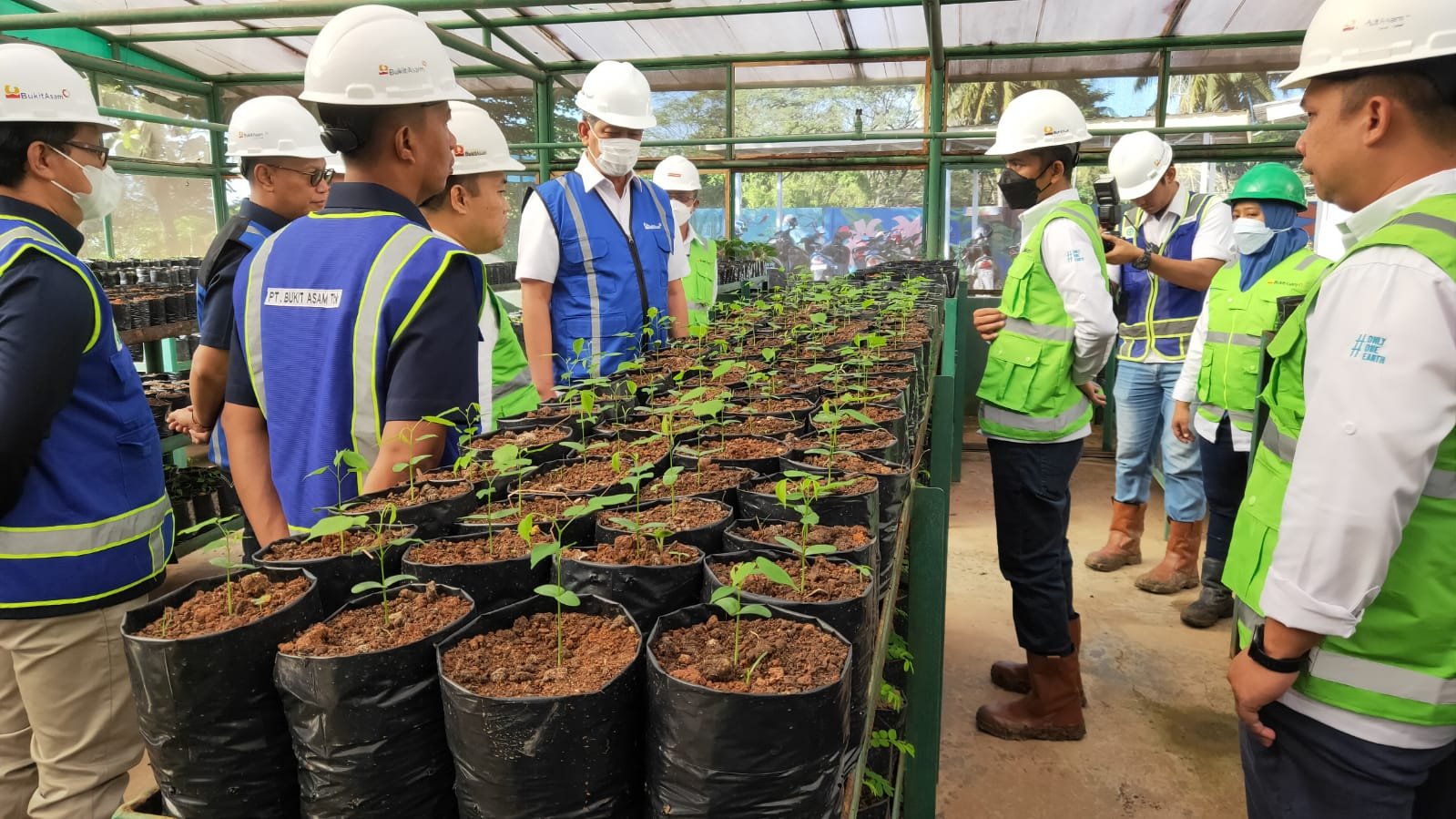 Penanaman pohon yang dilakukan oleh jajaran Komisaris MIND ID, Komisaris PTBA, dan seluruh Direksi PTBA dalam rangka hari lingkungan hidup sedunia 202