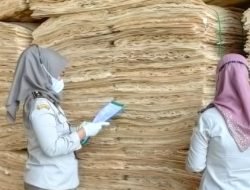 133 Kayu Veneer Asal Banyuasin Bebas OPT Diekspor ke Tiongkok