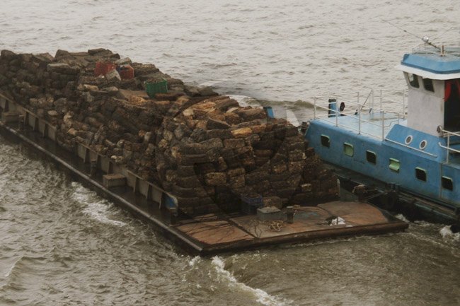 Kegiatan pengangkutan yang ada di Sungai Musi.