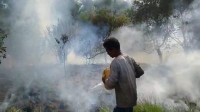 4 Kabupaten di Sumsel Siaga Karhutla, Ini Daftarnya