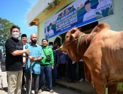 Salurkan Sapi Kurban Kesejumlah Masjid, Herman Deru: Idul Adha Momen Tepat Untuk Saling Berbagi