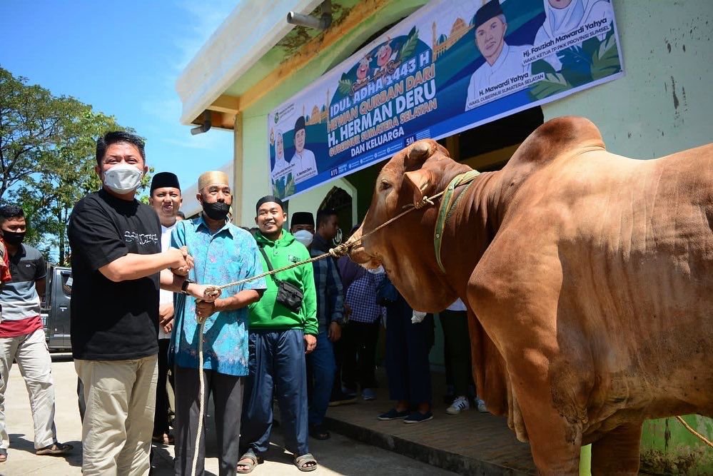 Gubernur Sumsel H Herman Deru secara simbolis  menyerahkan beberapa ekor sapi
