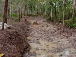 Medco E&P Selesaikan Pembersihan Sisa Minyak Akibat Vandalisme di Modong