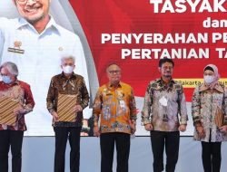 Sumsel Lima Besar Provinsi Penghasil Padi Tertinggi Nasional