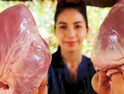 Manfaat Hati Sapi Bagi Kesehatan Tubuh dan Cara Pengelolaanya