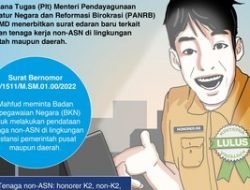 Honorer Dihapus 2023, Bakal Terjadi Ledakan Pengangguran?