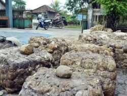 Pemprov dan Pemkab Diminta Fasilitasi UPPB