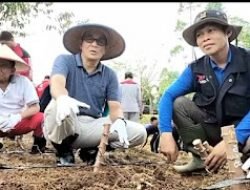 Bupati Pali Ajak Masyarakat Tanam Ubi