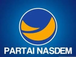 Nasdem Sumsel Belum Terima SK Pengangkatan Finda