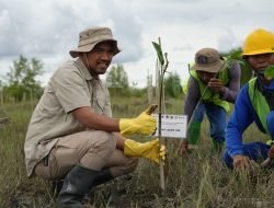 Kolaborasi PTBA-Pemerintah Lestarikan Habitat Burung dan Mangrove di Pulau Alanggantang