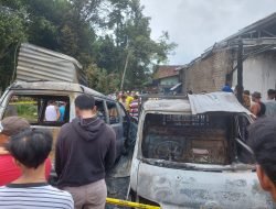 Si Jago Merah Mengamuk di Muara Enim