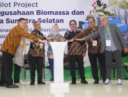 PTBA Dukung Pengembangan Biomassa untuk Cofiring PLTU di Sumsel