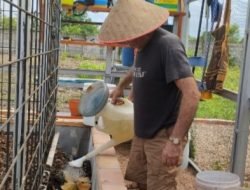 Pemprov Sumsel Dukung Warga Australia Olah Sampah Organik Menjadi Kompos