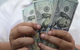 Foto: Petugas menhitung uang asing di penukaran uang DolarAsia, Blok M, Jakarta, Senin, (26/9/2022)