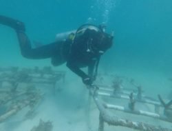 Ragam Dukungan PTBA untuk Sektor Pariwisata