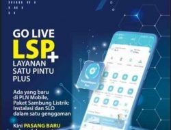 PLN dan Haleyora Power Sepakat Implementasikan LSP Plus